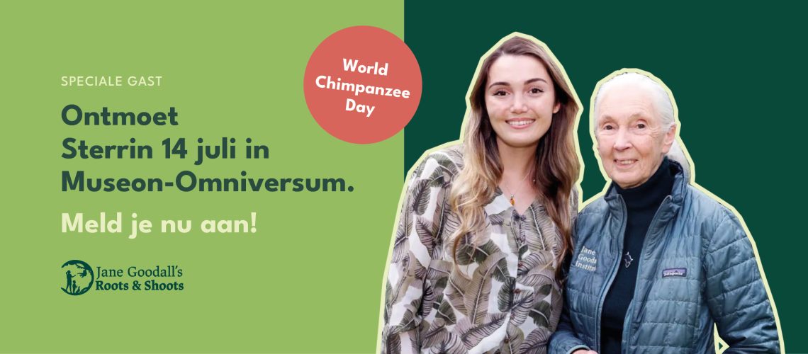 World Chimp Day - 02